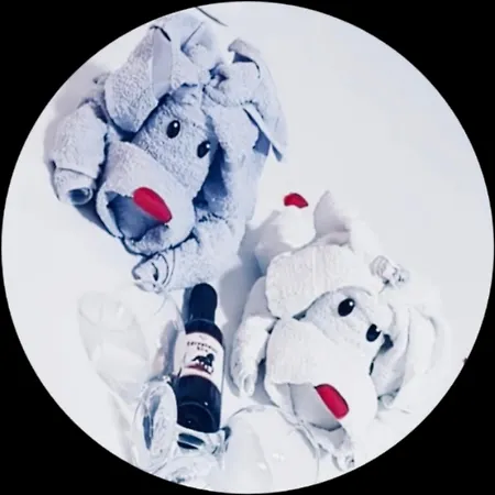 شقة Sekulic دوبوي